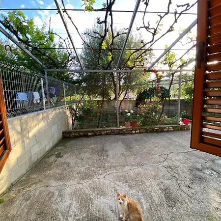 Jay's House *