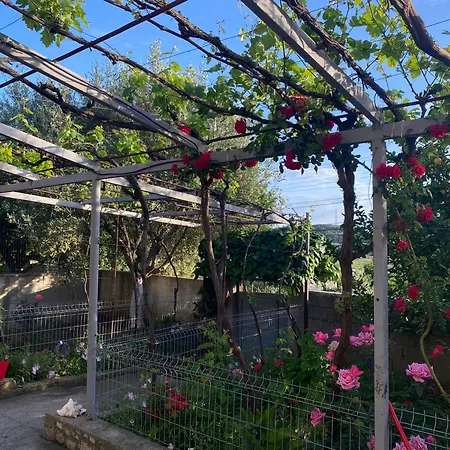 Jay's House * Vlorë